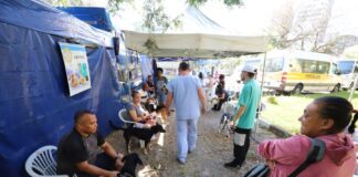 Programa de Castração já atendeu 339 animais em Diadema