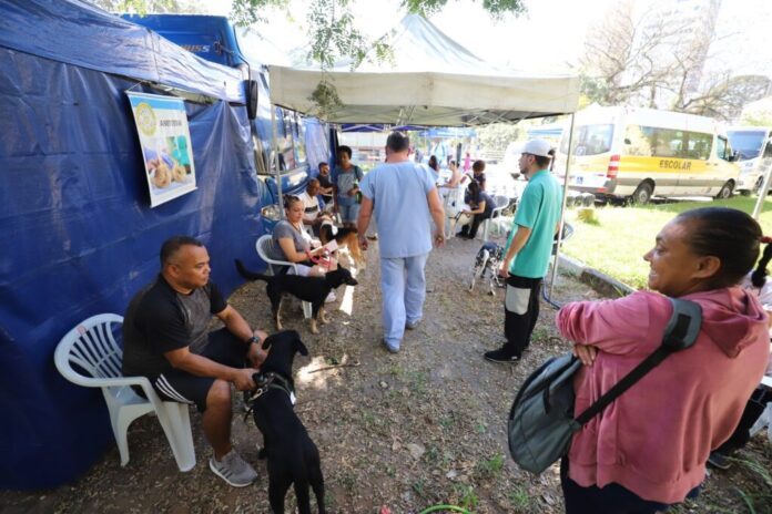 MutiraoCastracaoAnimal_6-8-2023_Foto_IgorAndrade-2-1024x682