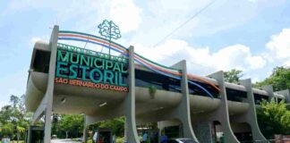 Tesouros Naturais: Parques e Áreas de Conservação no Grande ABC