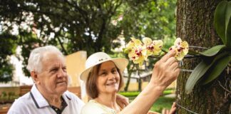 São Caetano lidera ranking nacional de longevidade