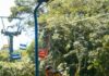 Em São Bernardo, passeio de teleférico é uma das atrações do Parque Estoril