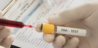 Governo de SP realiza mutirão gratuito de teste de paternidade