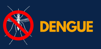Entenda por que hemorragia não é o principal sintoma da dengue grave