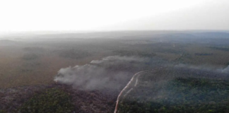 Área queimada no Brasil cresce 248% em relação a janeiro de 2023