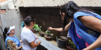 Diadema intensifica ações de combate à dengue