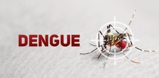 Brasil ultrapassa meio milhão de casos prováveis de dengue