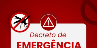 Grande ABC decreta estado de emergência para a dengue