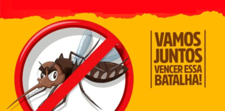 Estado de São Paulo chega a 72 mortes por dengue