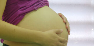 Combate à dengue: Governo de SP vai distribuir repelente para as grávidas