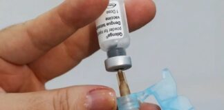 Estudo mapeia os principais genes envolvidos na resposta imune contra o vírus da dengue