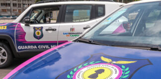 Com Lei Guardiã Maria da Penha, São Bernardo prendeu 57 agressores por violência doméstica