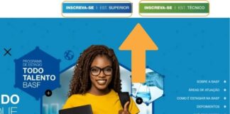 BASF está com inscrições abertas para o processo seletivo de estágio