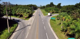 Rodovias estaduais de SP terão normas para reduzir atropelamentos de animais