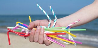 Procon-SP mostra como consumidor percebe a questão ambiental ao adquirir um produto