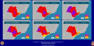 Defesa Civil aponta para risco de incêndio em todo o estado de SP