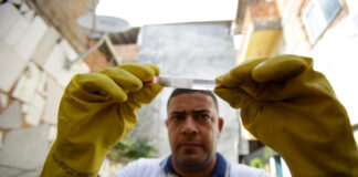 Sintomas de dengue, chikungunya e Zika: saiba as diferenças e as possíveis complicações