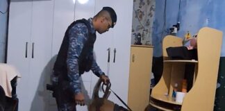 Canil da Guarda Civil Municipal tem papel importante em operação da Polícia Civil de combate ao tráfico de drogas