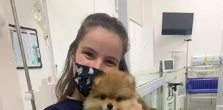 Veterinária de 23 anos é baleada no rosto