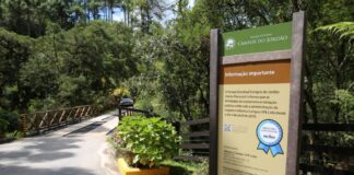 Férias de julho: veja como aproveitar os parques naturais no estado de SP