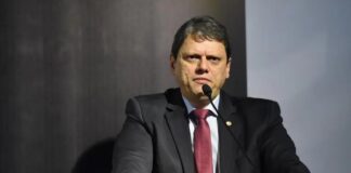 Governador sanciona lei para garantir bem-estar de cães e gatos no estado