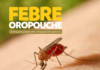 Ministério da Saúde confirma duas mortes por febre oropouche