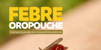 Ministério da Saúde confirma duas mortes por febre oropouche