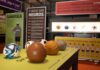 Museu do Futebol reabre nesta sexta-feira (12) com entrada gratuita