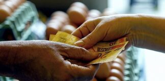 Saiba como preparar o bolso contra a inflação dos alimentos