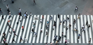 SP realiza nesta quinta-feira (22) o Dia D da campanha de respeito à faixa de pedestre