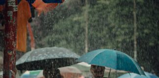 Tempestade em São Paulo: especialistas debatem responsabilidades e prejuízos