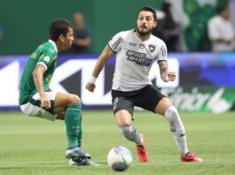 Botafogo vence Palmeiras por e 3 a 1 e reassume liderança