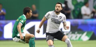 Botafogo vence Palmeiras por e 3 a 1 e reassume liderança