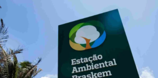 Programa de Educação Ambiental da Braskem capacita mais de 6.700 alunos no ABC em 9 anos