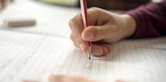 Procon-SP recomenda atenção aos consumidores que já planejam a compra de material escolar