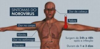Surto de virose no litoral paulista foi provocado por norovírus