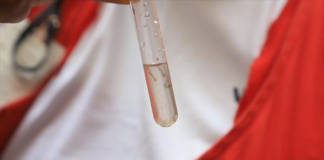 Mauá realiza uma série de ações preventivas contra dengue