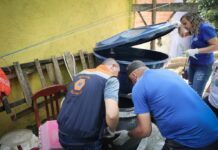 Governo de SP decreta emergência para dengue e anuncia investimentos para assistência aos pacientes