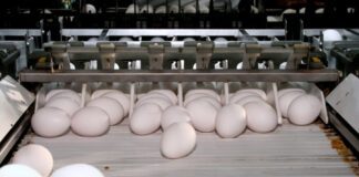 Serviço de Inspeção do Governo de SP chega à marca de 700 estabelecimentos registrados