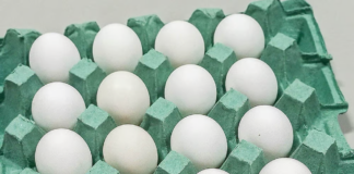 Calor extremo, alta do milho e quaresma pressionam preço do ovo