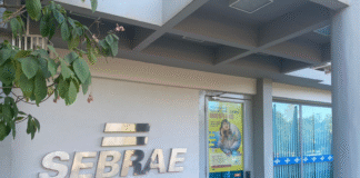 Sebrae-SP abre cinco vagas em diversas regiões do estado de SP