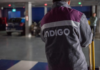 Indigo abra vaga de emprego