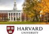 Curso gratuito de Harvard com certificado: como fazer e turbinar seu currículo
