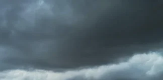 Previsão do tempo para quarta-feira (11), em SP: condições para nevoeiro