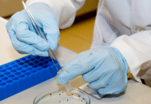 Vacina produzida pela USP contra o vírus zika mostra resultados promissores em testes com camundongos