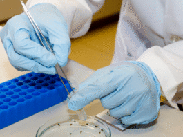 Vacina produzida pela USP contra o vírus zika mostra resultados promissores em testes com camundongos