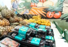Lançamento do programa ‘Minha Feira SBC’ em São Bernardo alia segurança alimentar e incentivo à reciclagem