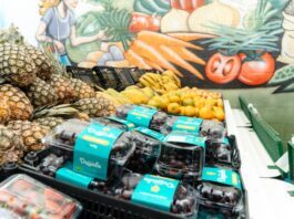 Lançamento do programa ‘Minha Feira SBC’ em São Bernardo alia segurança alimentar e incentivo à reciclagem