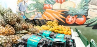 Lançamento do programa ‘Minha Feira SBC’ em São Bernardo alia segurança alimentar e incentivo à reciclagem