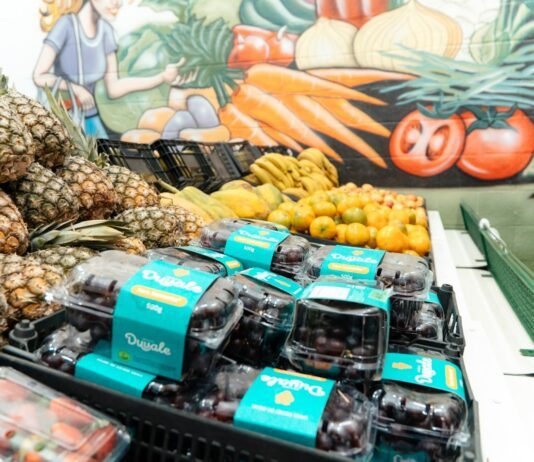 Lançamento do programa ‘Minha Feira SBC’ em São Bernardo alia segurança alimentar e incentivo à reciclagem